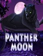 เล่นสล็อต cq9 ทดลอง ฟรี สนุกไม่เสียตังค์!!